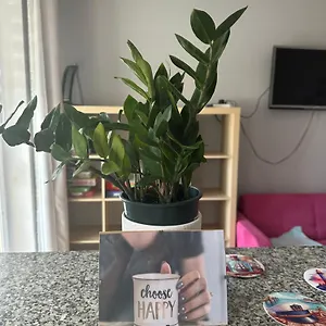 https://przytulne-mieszkanie-cosy-apartament.gdanskhotel.org